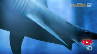 Megladon still exist!