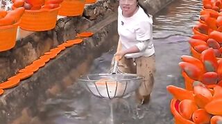 How to use village and old fashioned way to 2