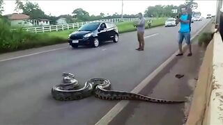 Most Incredible Moments Caught on Camera