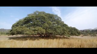Sarabha Movie Trailer