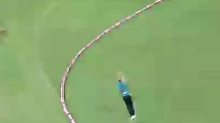 Cricket best catch in the world