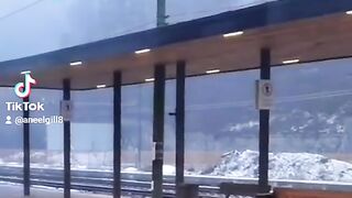 Travel 4