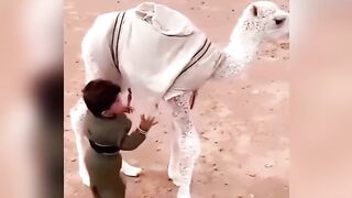 Kids and Camel