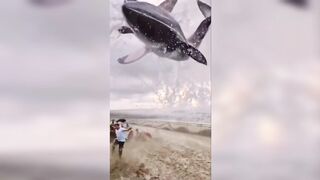 Big Shark 2