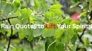 Rain Quotes to Lift Your Spirits