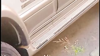 Car lover 2