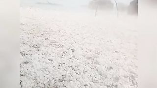 Balls' Heavy Rain
