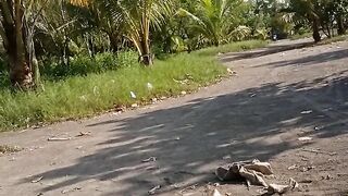 Video di pinggir pantai