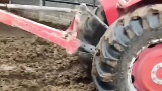 Power of bull