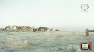 المسلسل الكويتي اسطورة الصحراء عام 1976م الحلقة 1 jalili99