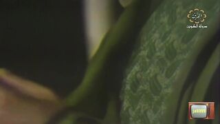 المسلسل الكويتي اسطورة الصحراء عام 1976م الحلقة 3 jalili99