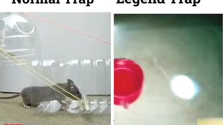 Normal mouse trap vs legend mouse trap