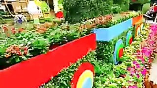 Garden Video