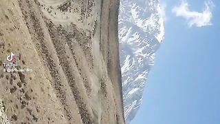 Mustang tour