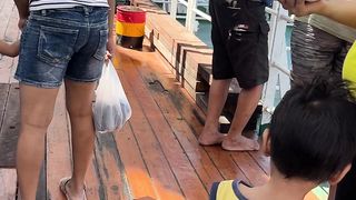 Cruises Indonesia