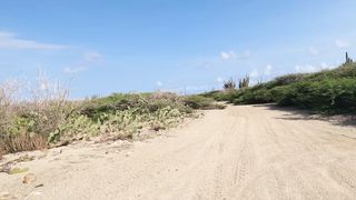 Dirt Road
