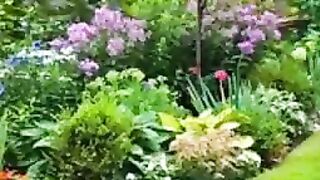 great Garden