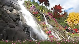 beautiful waterfall 6