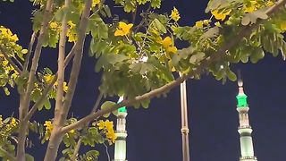 Islamic 70