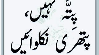 پتہ کی پتھری   پتہ نہیں پتھری نکلوائیں