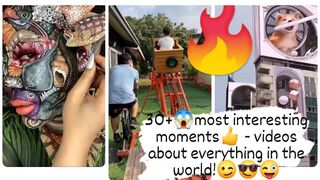 30+ most interesting moments - videos about everything in the world!