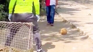 Funny video 193