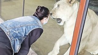 Zoo in girl