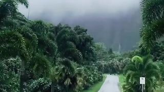 Peaceful Rainy Drive