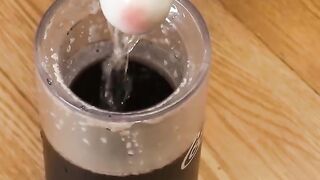 Nico_ what_s wrong with her_----_dog _funny _cute _doglover _funnymoments _prank(