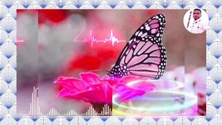 2023 Islamic song short video