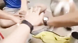 Funny Animals 