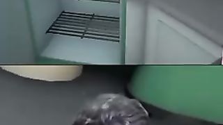 Moment Kocak Windah Basudara!!! Mau Bikin Roti Malah Meledak ????