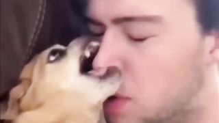 funny dog 5