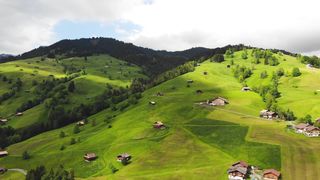 Beautiful Nature videos |nature video |natural beauty |free stock footage