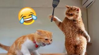 ANIMAL TIKTOK COMPILATION 2