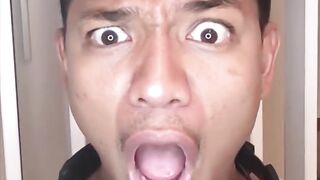 animal tiktok compilation 3