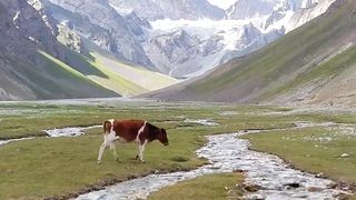 Beautiful Mountain Life in Pakistan | Rural Life in Gilgit Baltistan| Old Culture | Thalley Valley