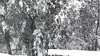 Snow ❄️????️ 2