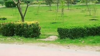 BadShahi Masque Lahore