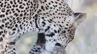 love Mom