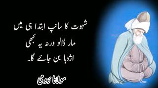 Mulana Rumi ki aqwaal
