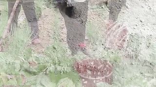 ЗА УСПЕШНА ГРАДИНА 6