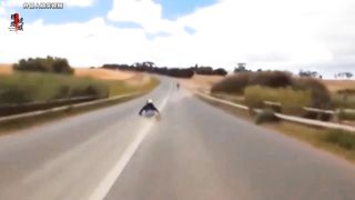 Funny people and things 4