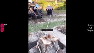 TRY NOT TO LAUGH ???? Best Funny Videos Compilation ???????????? 13