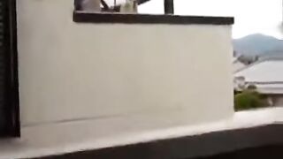 Funny cats clips in 30 seconds