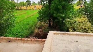 Beautiful weather in village