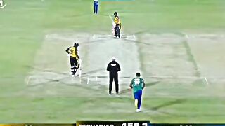 cricket 6