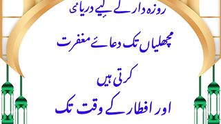 Roza dar ke liye Daryai Machliyan