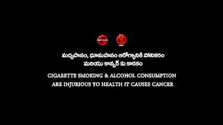 Vinaya.Vidheya.Rama.2019.UNCUT.480P.WEBRip.Hindi.+.Telugu.x264.E