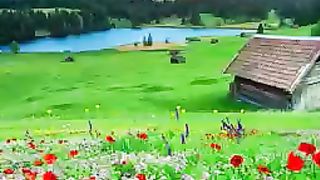 Natural Scenery Video